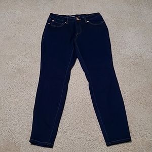 INC denim Madison skinny 6/29S